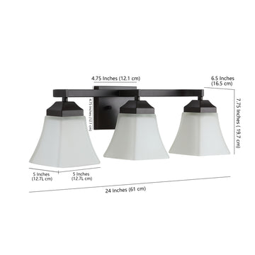 Staunton Iron/Glass Modern Cottage LED Vanity Light